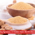 Exploring Agrawau: A Hidden Gem Worth Discovering