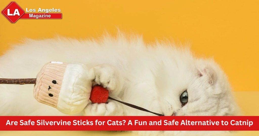 Are Safe Silvervine Sticks for Cats? A Fun and Safe Alternative to Catnip