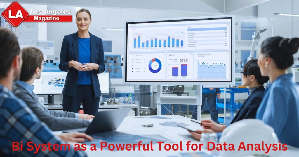 Bi System as a Powerful Tool for Data Analysis