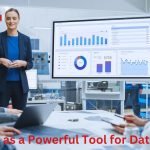 Bi System as a Powerful Tool for Data Analysis