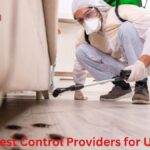10 Best Pest Control Providers for UK Offices