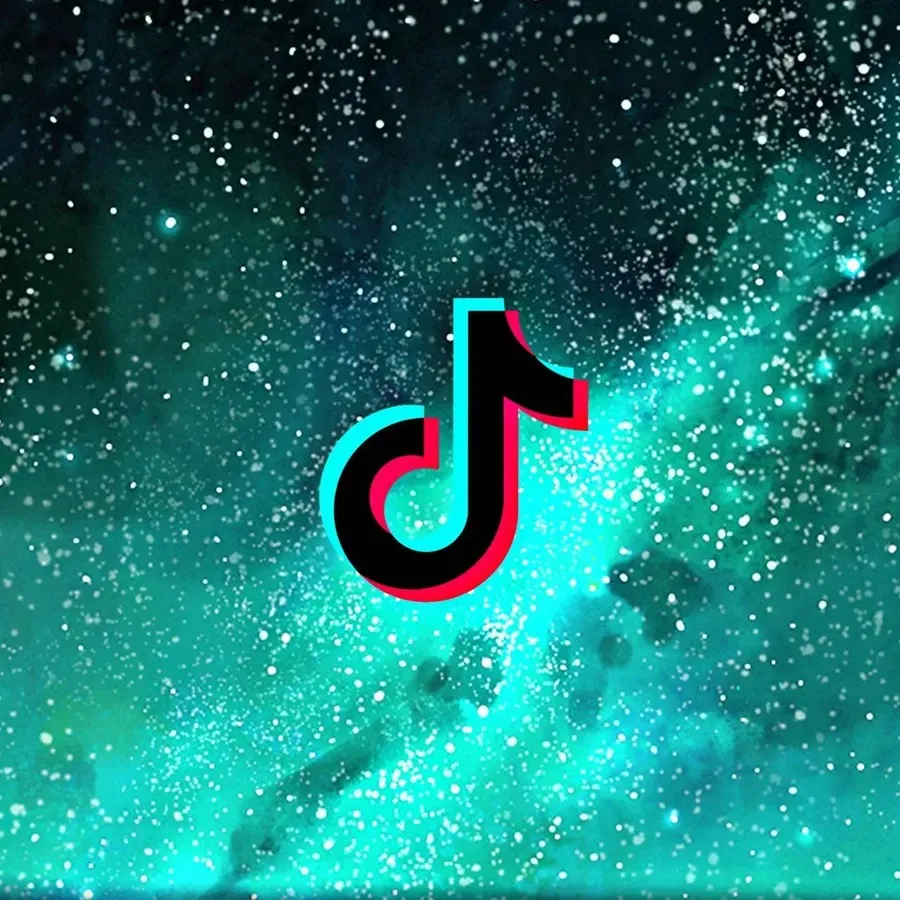 TikTok Followers & Social Media Fame The Fastest Way To Go Viral