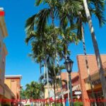 Finding the Right Emergency Dentist in Cape Coral: Your Guide to Quick Relief