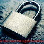 Anon Vault: A New Dawn for Digital Freedom and Security