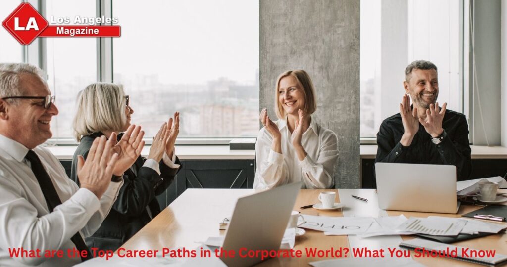 What are the Top Career Paths in the Corporate World? What You Should Know 