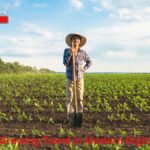 Aavmaal: A Growing Trend in Modern Digital Platforms