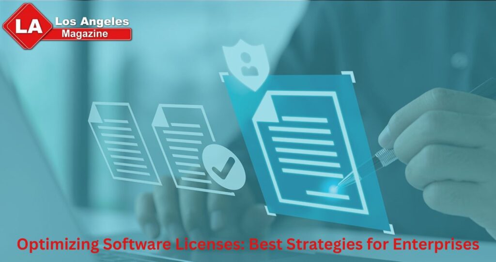 Optimizing Software Licenses: Best Strategies for Enterprises