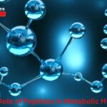 The Role of Peptides in Metabolic Health
