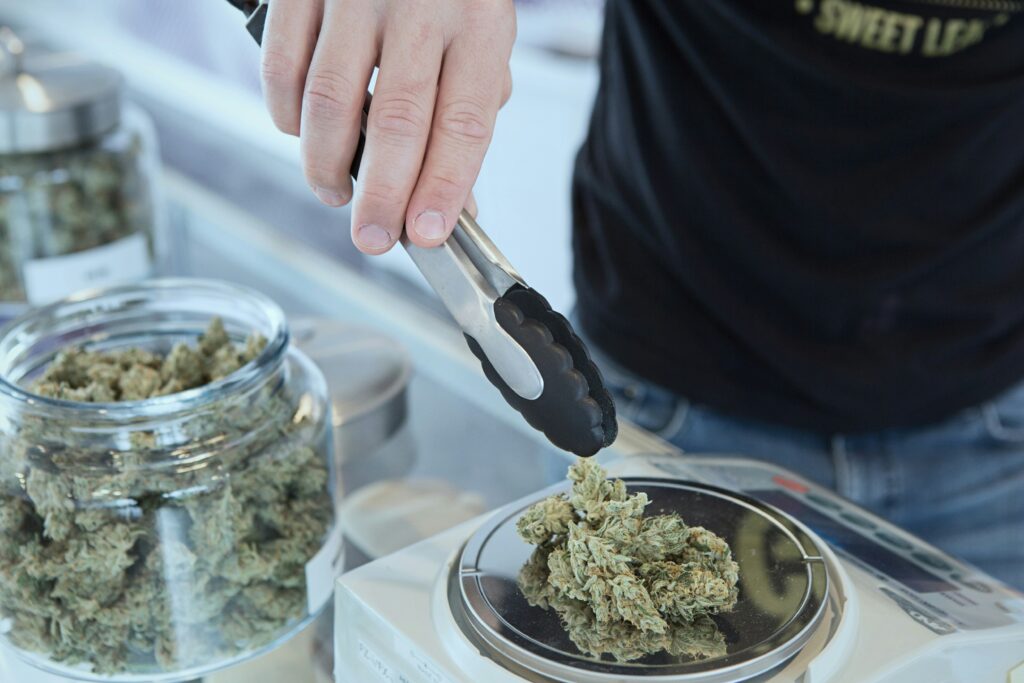 Considerations for Choosing the Right Cannabis Strain for Your Needs