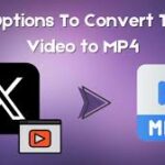 Convert Twitter Video to MP4: 