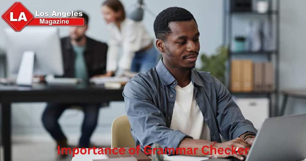 Importance of Grammar Checker