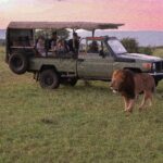 Beyond Dune Bashing: Unique Safari Activities a Travel Agency Arranges